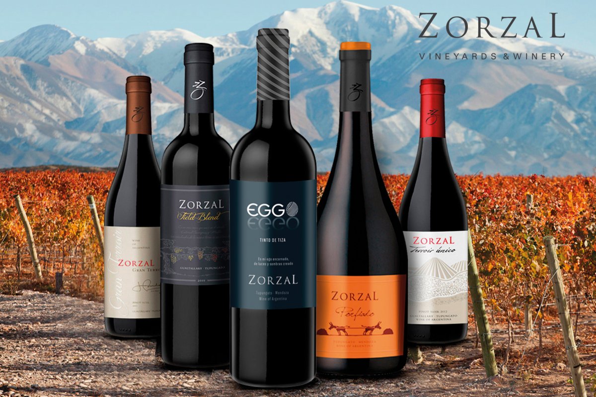 Zorzal