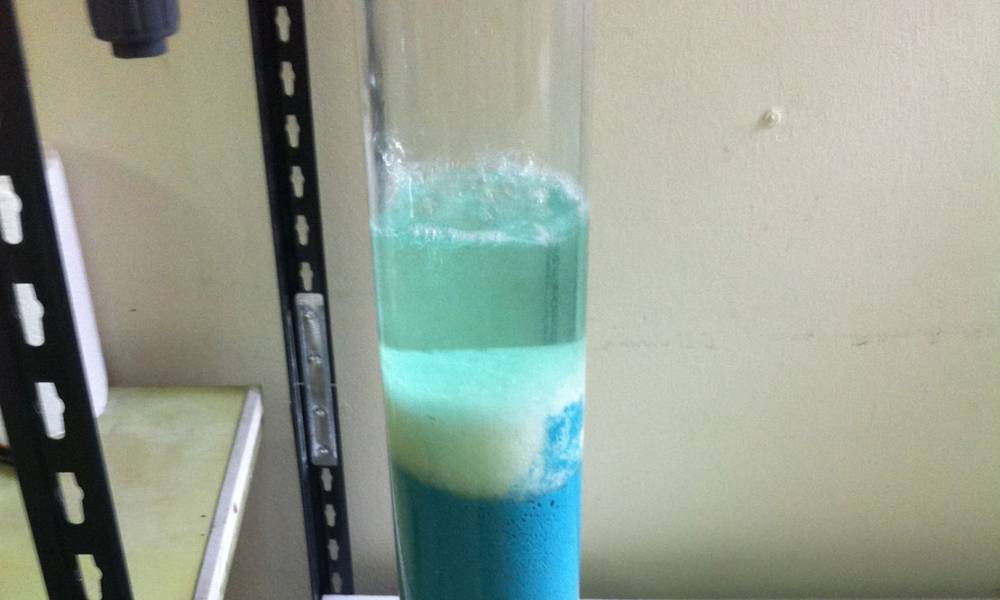 Proyecto de Investigación y Desarrollo nuevas Tecnologías (Intercambio Iónico, IX)