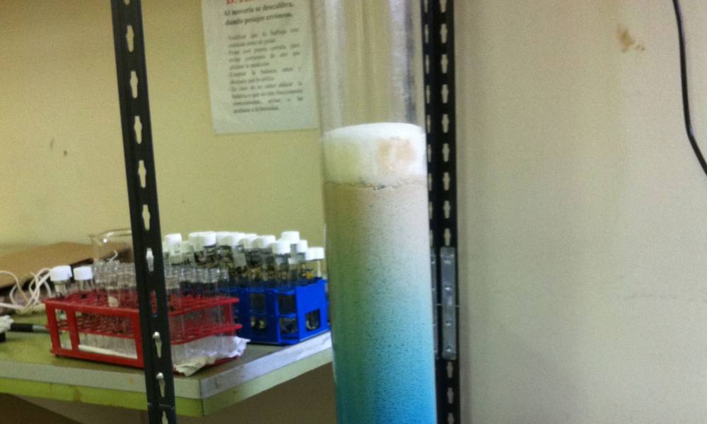 Proyecto de Investigación y Desarrollo nuevas Tecnologías (Intercambio Iónico, IX)