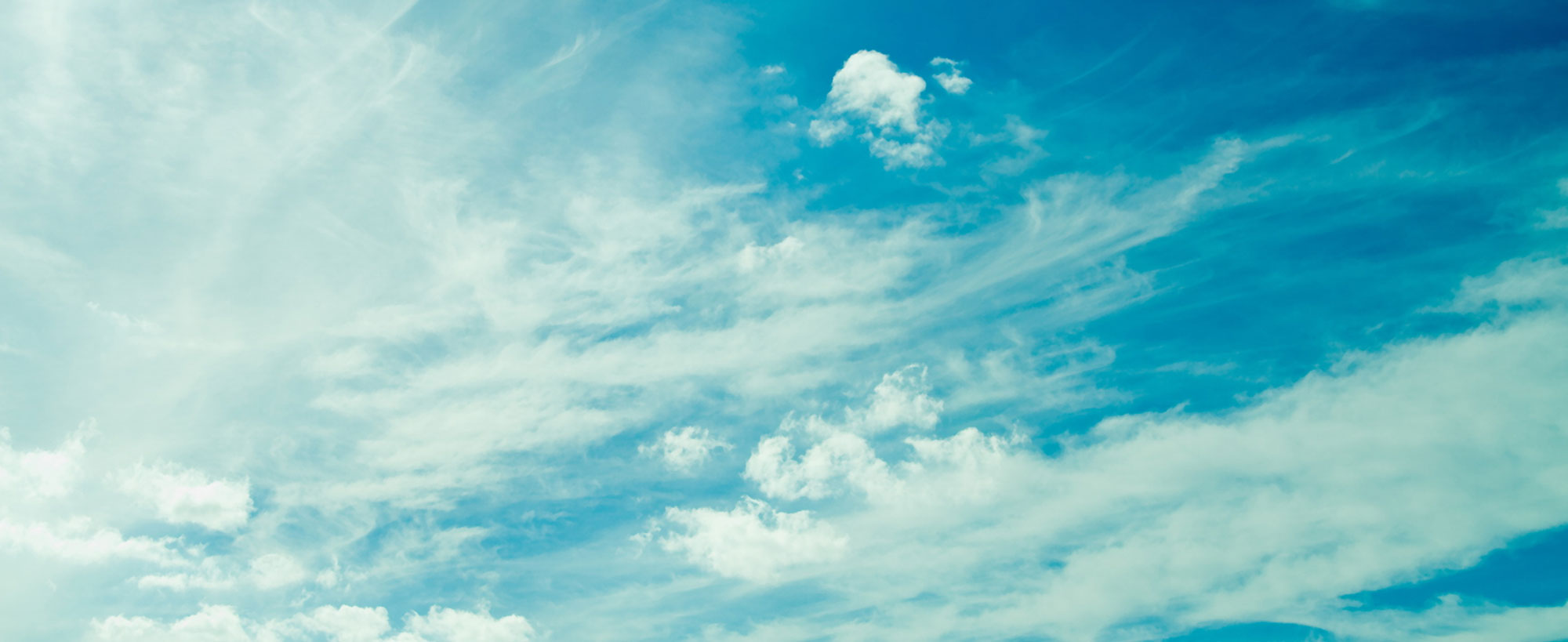 banner 2