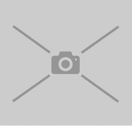 Nombre del equipo